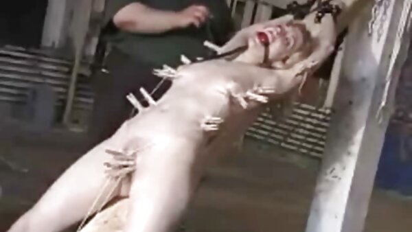 غريب جادا ستيفنز ، جينكس مايز ملكة جمال ريكان سگٍس آجُنبيِ تشكل عارية بالقرب من المسبح